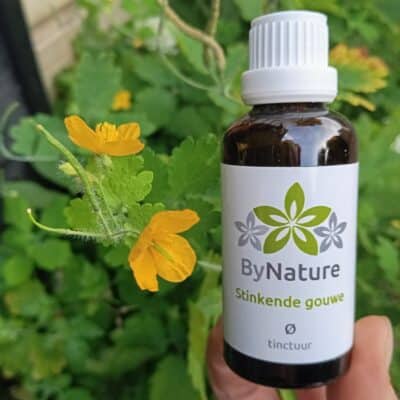 Stinkende gouwe tinctuur