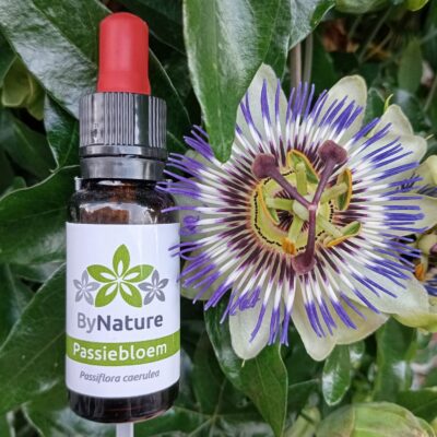 Passiebloem